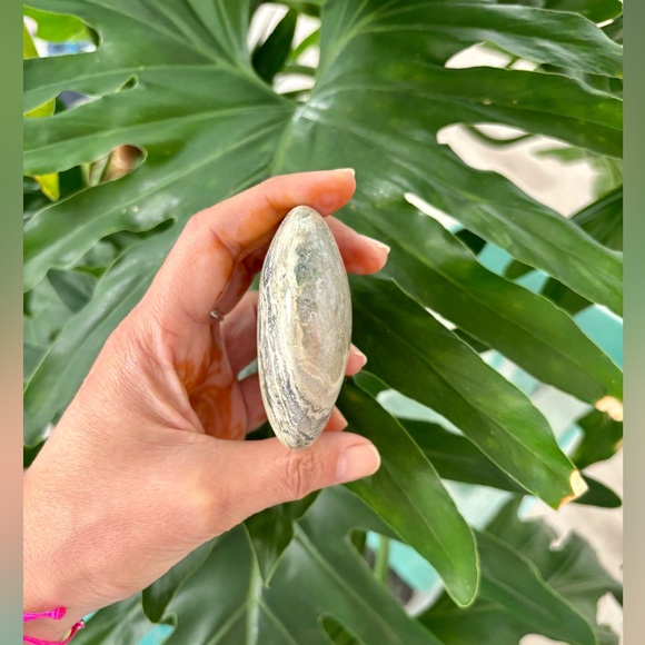 Ocean Jasper Palmstone - Picture 4 of 6